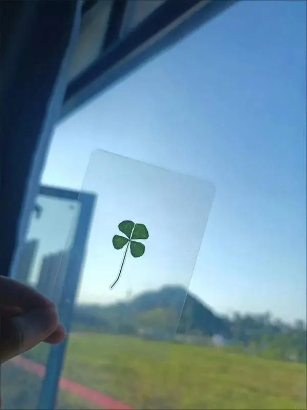 New 5Pcs Natural Dried Leaf Bo - Red Clover Flower ulasan dan harga